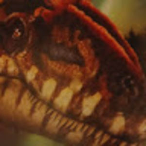 Meet your Posher, Vladimir